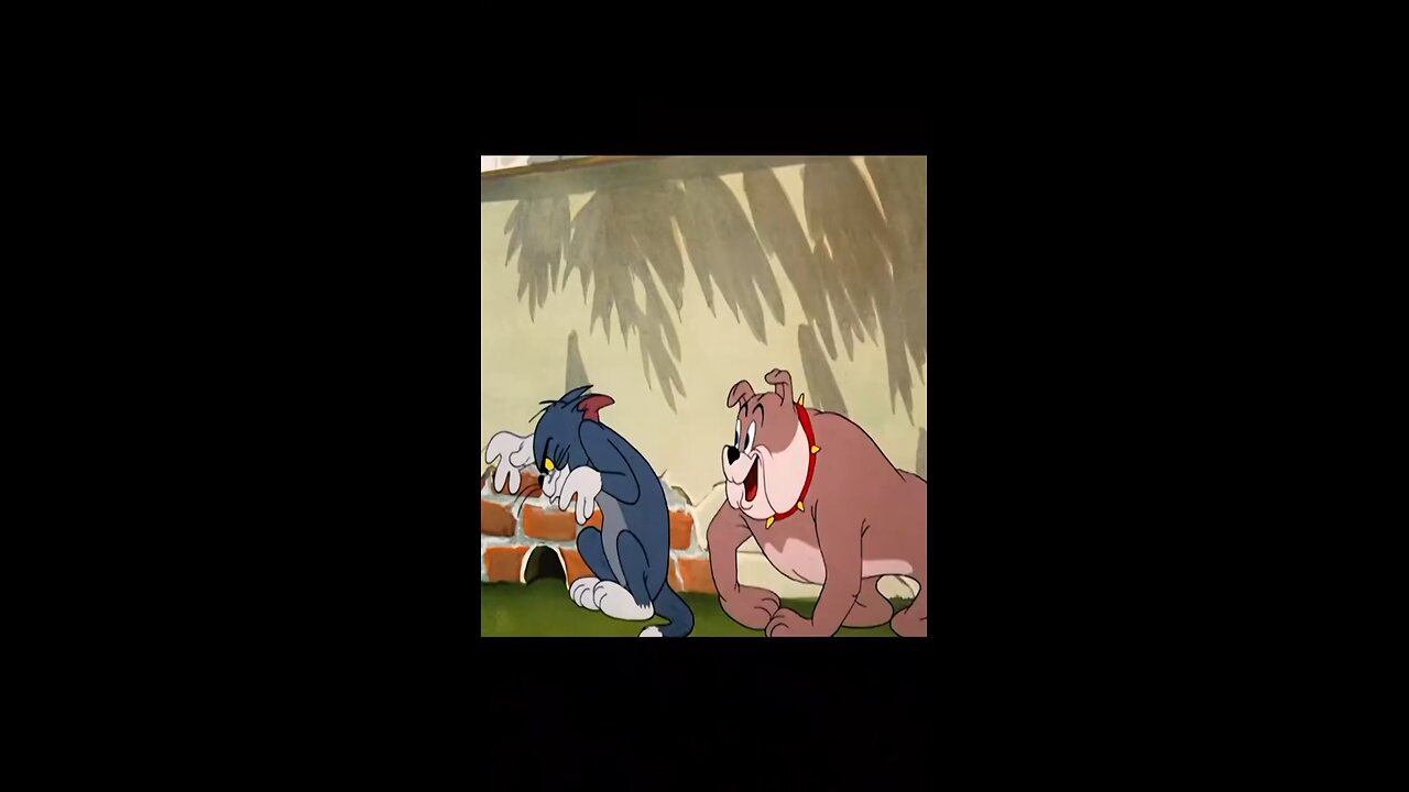 Tom and jerry cartoon full funny🤣🤣🤣🤣🤣