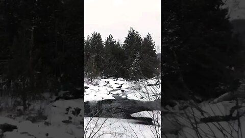 Rivers in deep winter #shorts