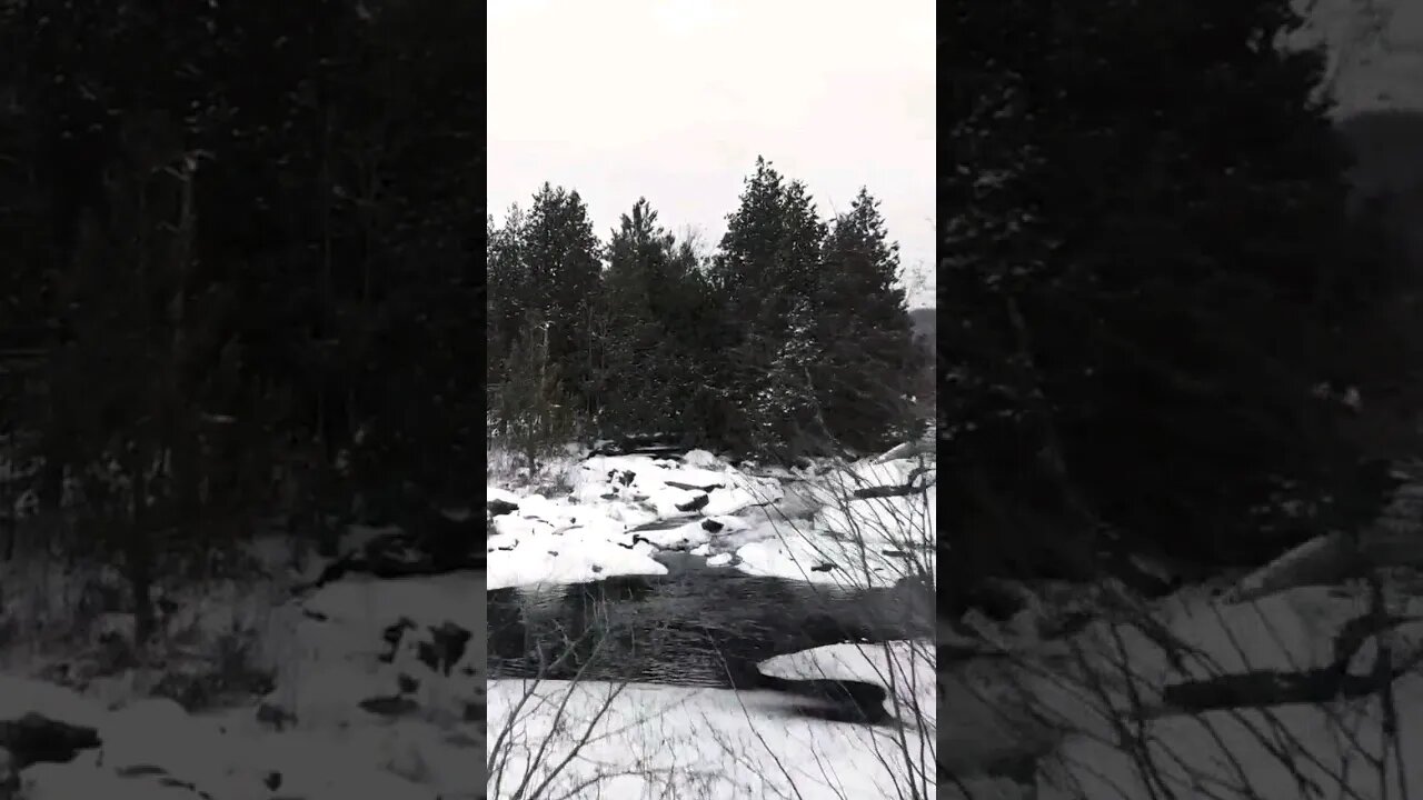 Rivers in deep winter #shorts