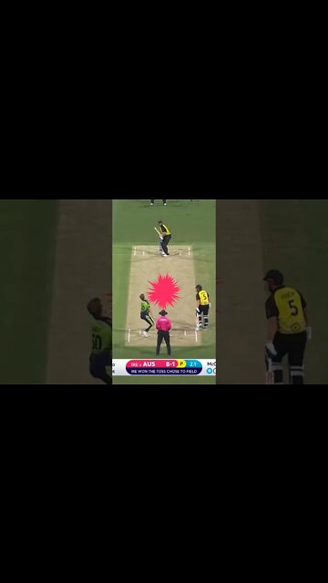 #cricket