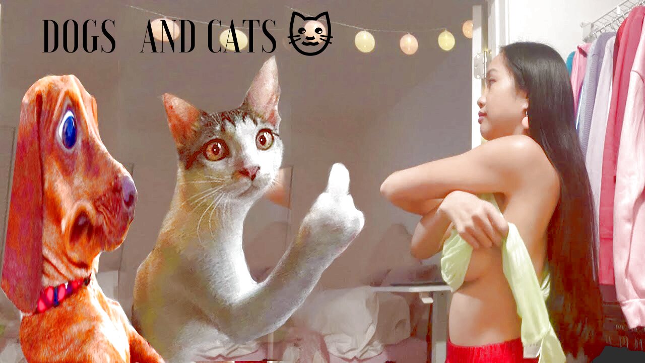 Very funny and cute ❤ dogs 🐶 and cats 🐱