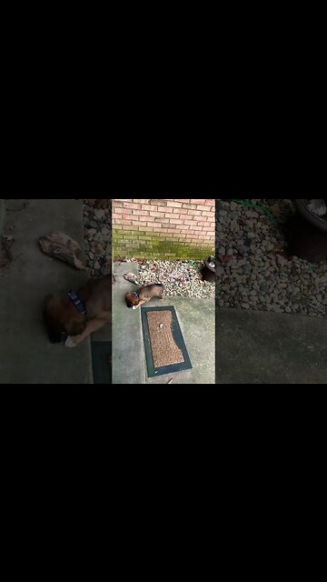 Fry, myself and a real lawyer look at Delphi memo