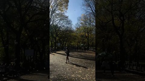 I love #fall in #nyc