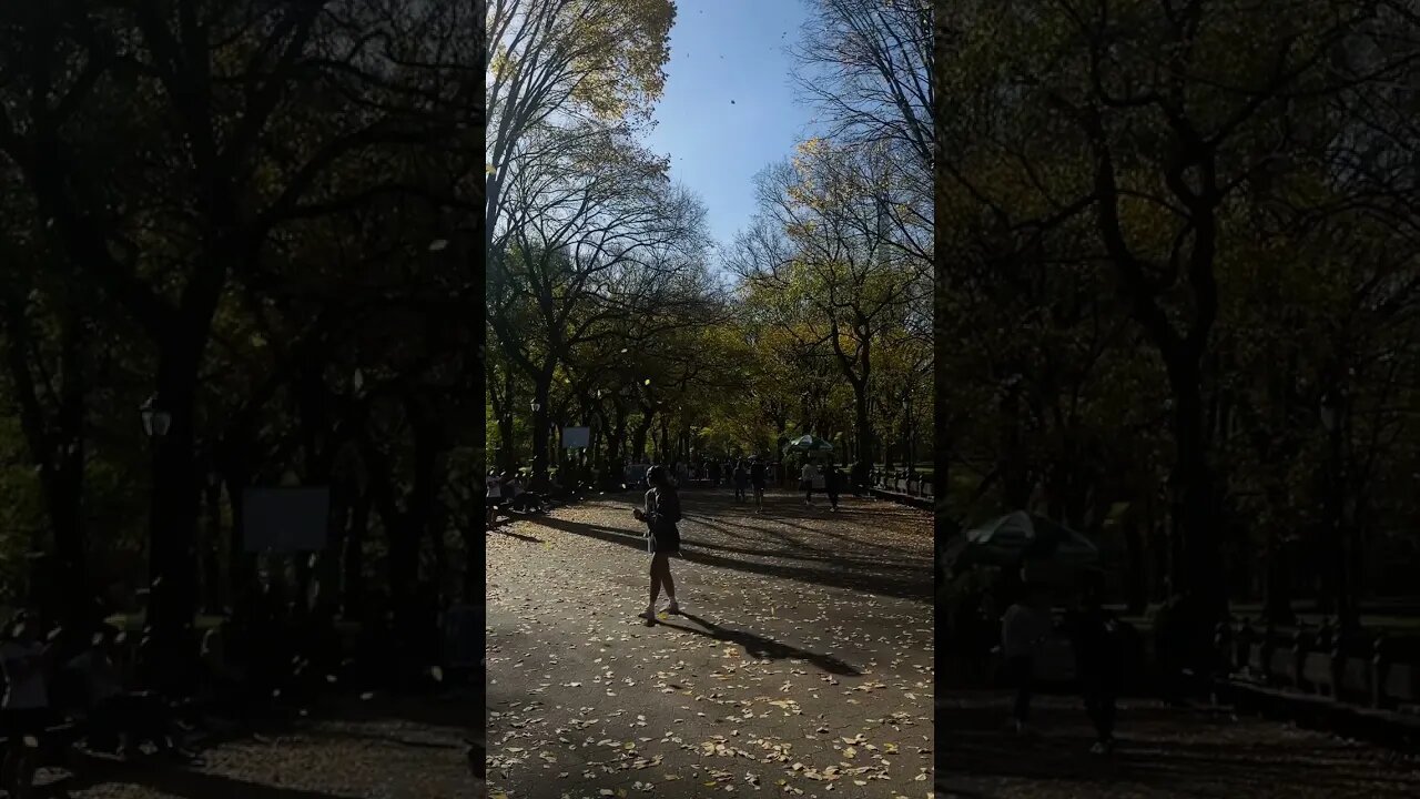 I love #fall in #nyc