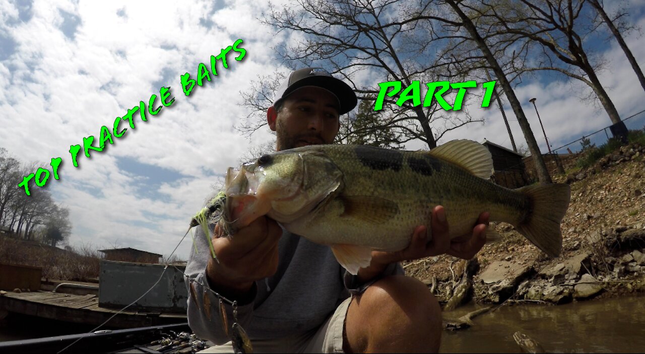 My Top Practice Baits Part 1