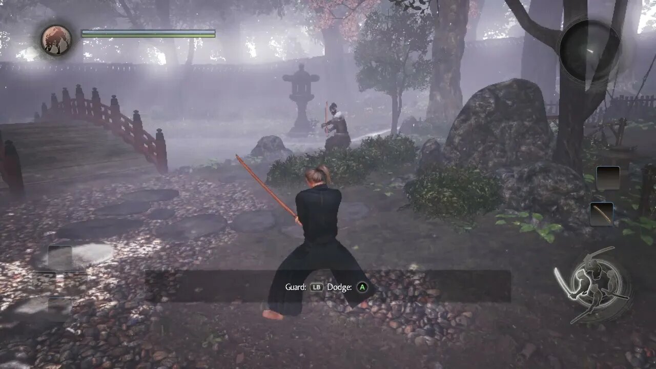 Nioh glitch