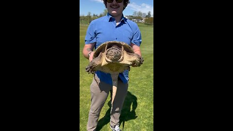 Found a friend on the links!