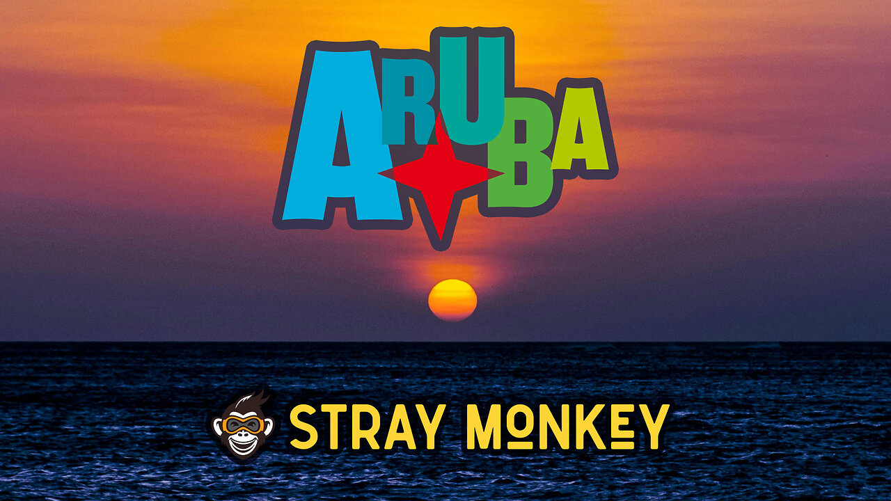 Traveling to Aruba - A Stray Monkey Trip