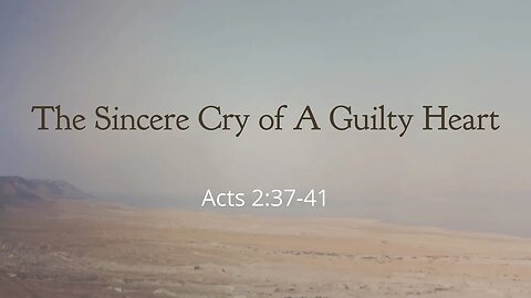 "The Sincere Cry of A Guilty Heart" 2023.08.27