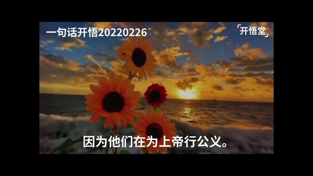 一句话开悟20220226
