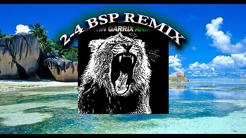 Animals (2-4 BSP REMIX)