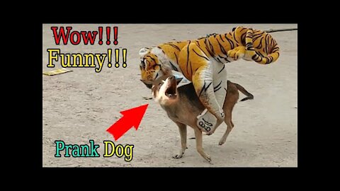 Wow Nice! Fake Tiger Prank Cow, Dog So Funny Action Cows, Dogs