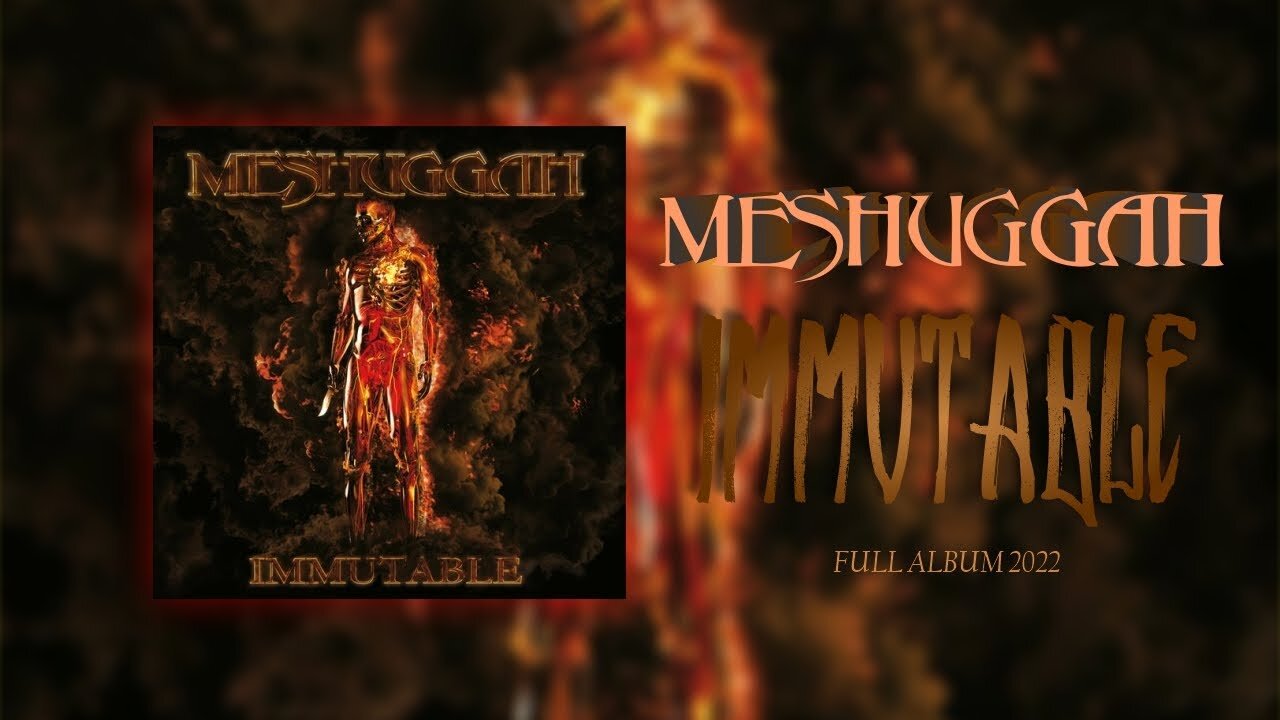 Meshuggah - Immutable (Vinyl playthrough)