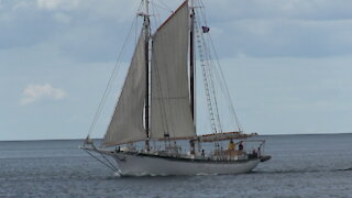 APPLEDORE IV Tall Ship Sail Boat Down From Lake Huron