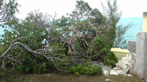 Category 3 Hurricane Nicole