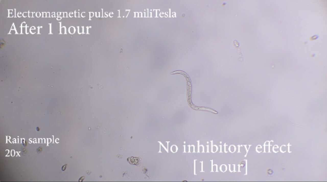 2022-07-16 Moving organisms on EMP