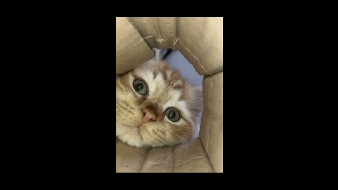 Is that weird or Cute!!