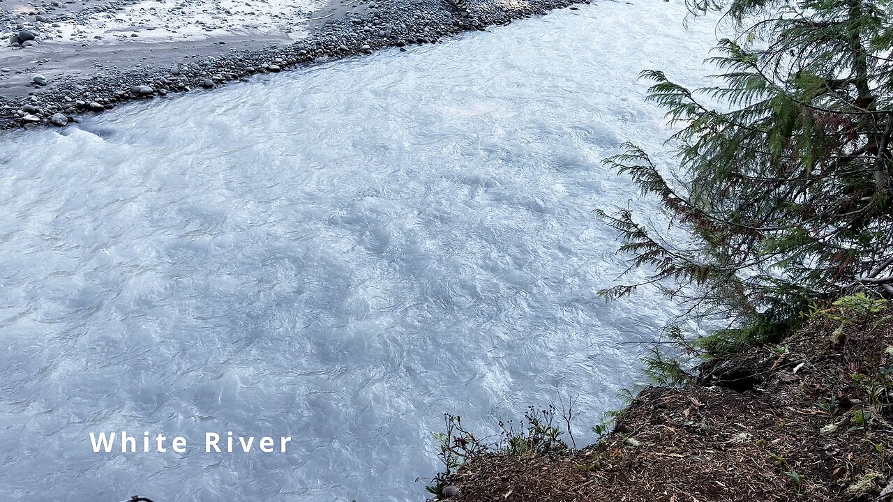 OVERLOOKING THE BEAUTIFUL, MILKY & OPAQUE White River on Skookum Flats Trail! | 4K | Washington