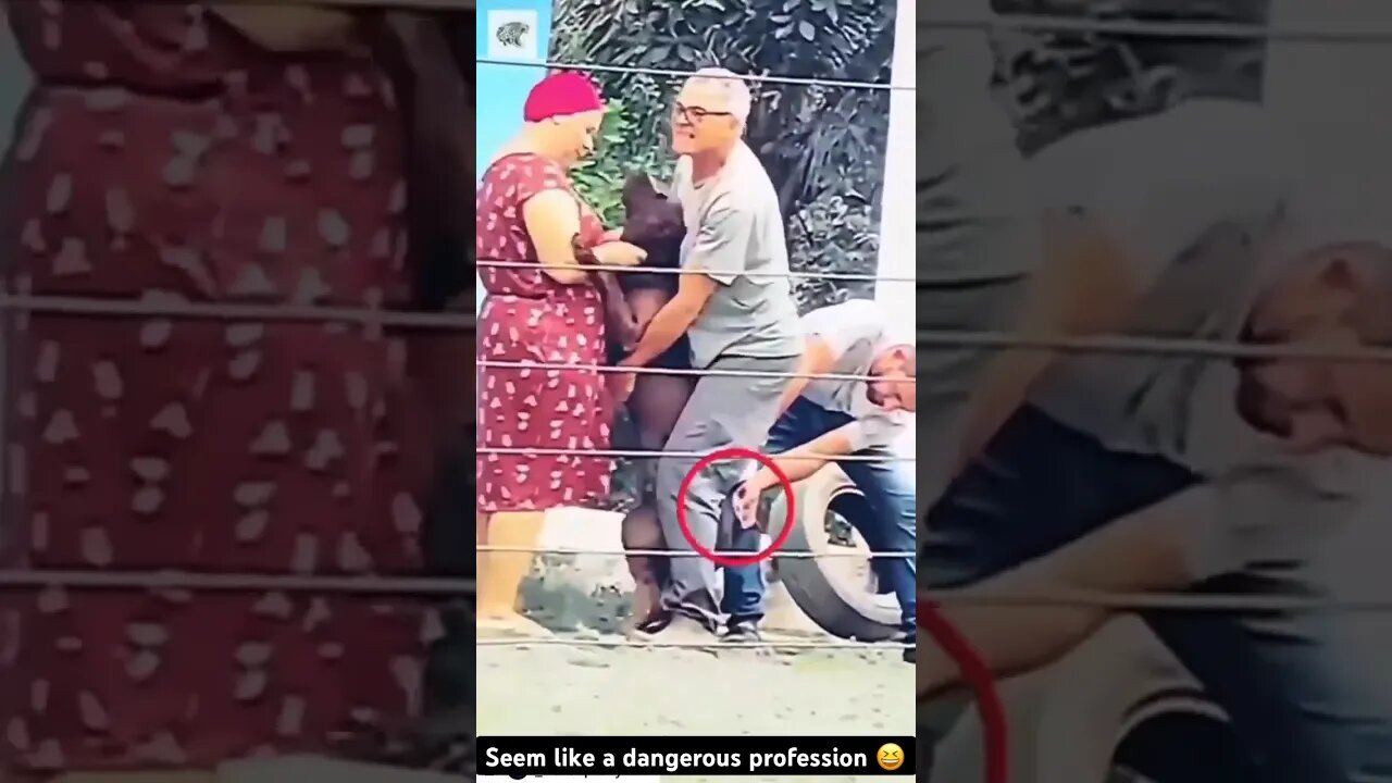 Being a Veterinarian seems like a dangerous profession! 😆😂 #shorts #short #subscribe #viral #dog