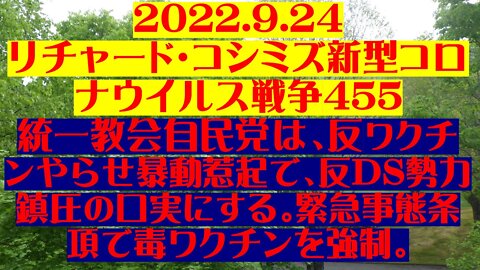 2022.9.24 リチャード・コシミズ新型コロナウイルス戦争４５５