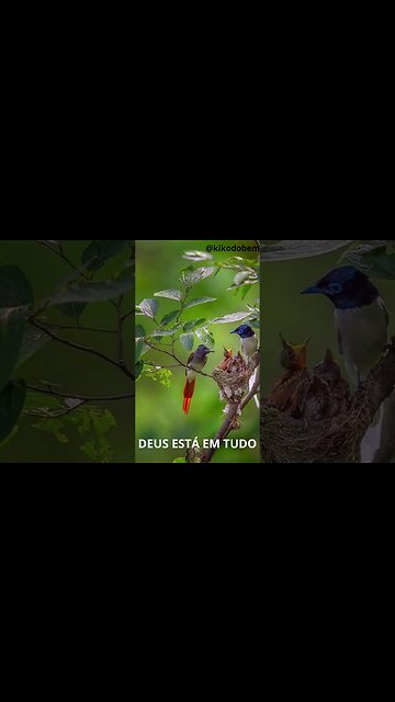 Deus está em tudo principalmente na #natureza