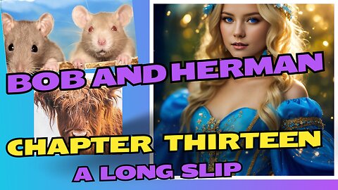 BOB AND HERMAN. CHAPTER 13. A LONG SLIP.