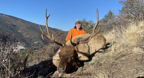 Hunting Colorado-2023 with Pack Goats