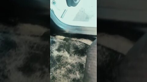 “Just a bit”💀💀 Video By christorres 118 #Shorts