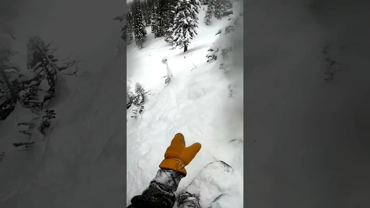 Revelstoke is steep #shorts #short #snowboarding #snowboard #power #revelstoke #powday #pow