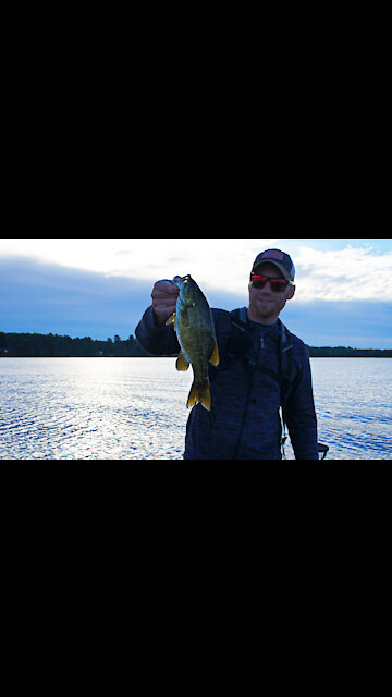 Wisconsin Smallmouth Bass Under a Float