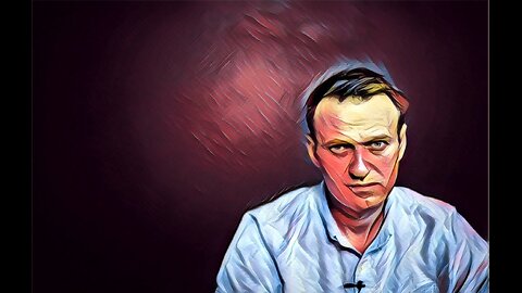 Alexei Navalny, the Russian opposition leader who organized anti-government,