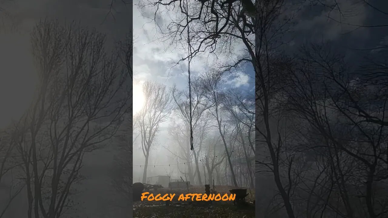 #farmstead #shorts #stacksfarmstead #fog #foggy