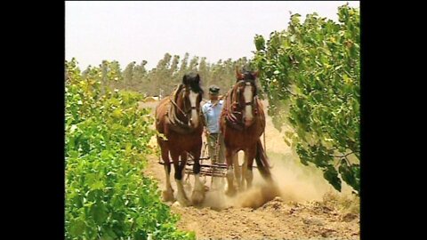 BAROSSA Ploughing