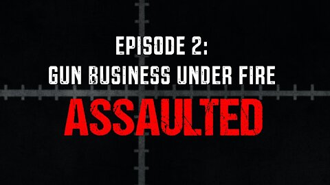 Episode 2: Gun Business Under Fire | Assaulted