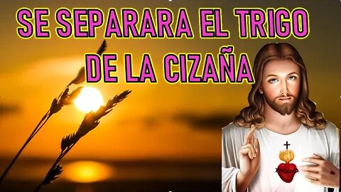 SE SEPARARA LA CIZAÑA DEL TRIGO - MENSAJE DE JESÚS EL EVANGELIO POR MARÍA VALTORTA