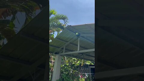 Wish You Were Here #shorts #travel #philippines #beautiful