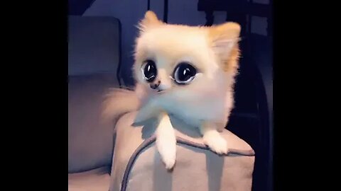 Get Ready to LOL with this Hilariously Adorable Puppy!