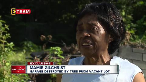 Claim denied for garage destroyed by tree