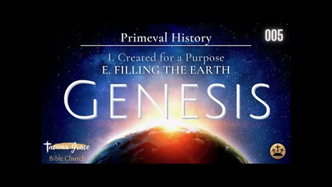 Filling The Earth | Genesis 1:20-25