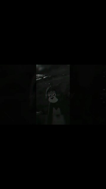 nf chasing 🔥🔥🔥