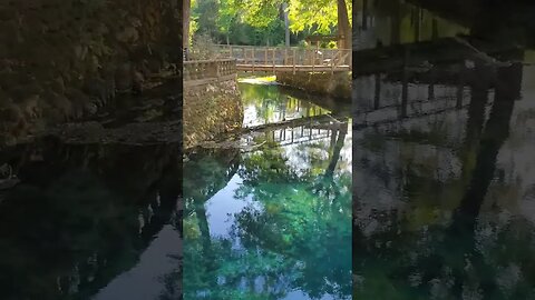 Radium Springs in The Golden Hour 01 #shorts