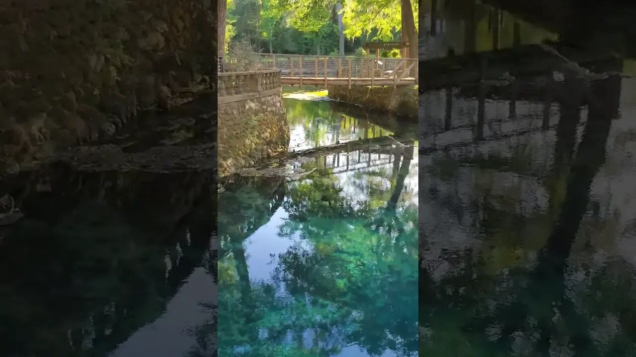 Radium Springs in The Golden Hour 01 #shorts