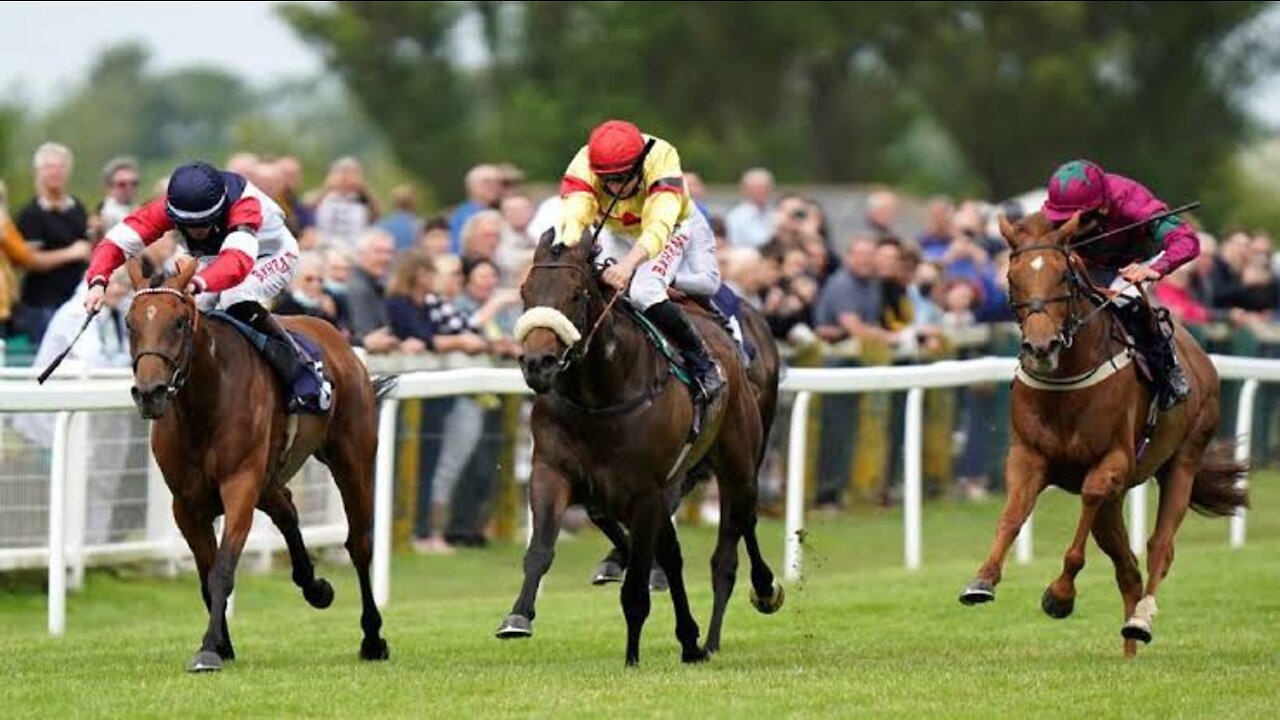 Horses with incredible speed amaze everyone