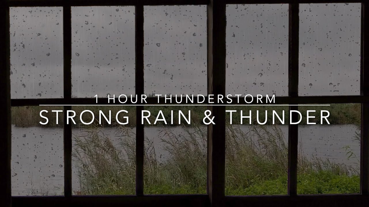 Strong Rain & Thunder Sounds For Sleeping - Windy Rain On A Window - 1 Hour Thunderstorm - Rain ASMR