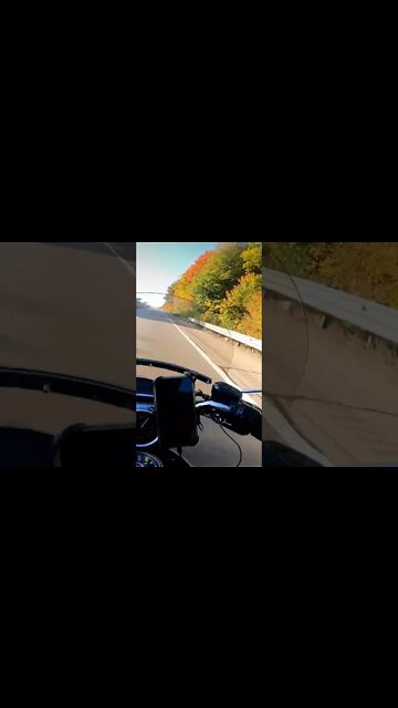 Michigan fall trees on my motorcycle
