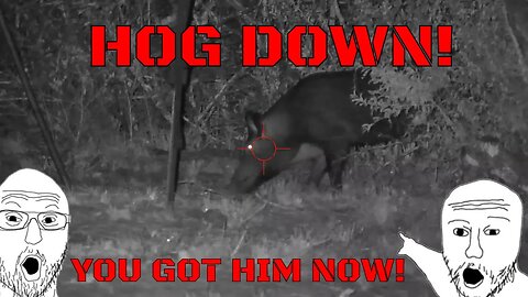 Hog Down! He Didn't Get Away This Time!