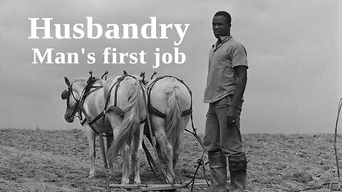 Husbandry, Man's first job