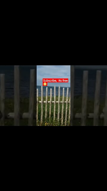 peak a boo #shorts #subscribe