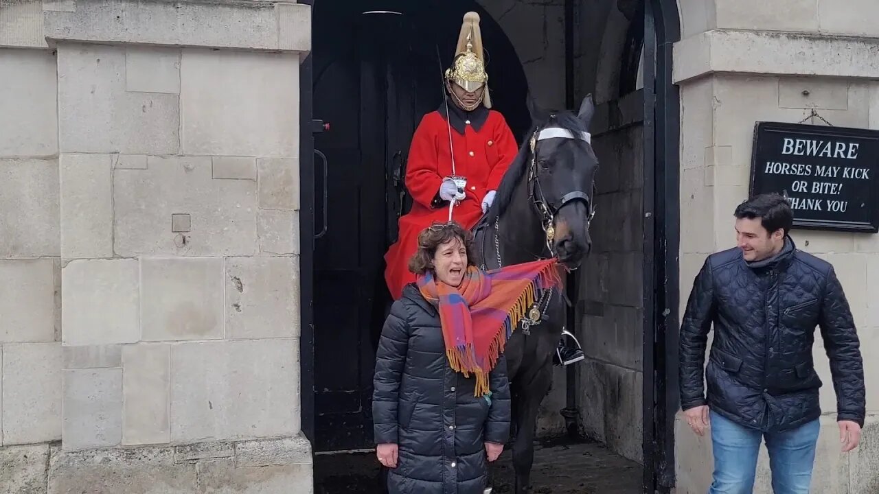 Horse pulls up tourist scaff #horseguardsparade