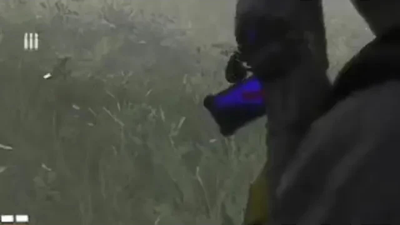 my pea brain on division 2 with the bluescreen
